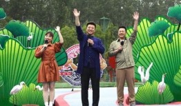 鲁豫菜市场爆料视频最新,揭秘最新市场动态与热门话题